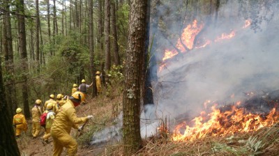 護管員工作多元，圖為森林護管員成立國家森林救火隊投入火場救災