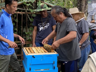 學員實際操作取蜂巢片