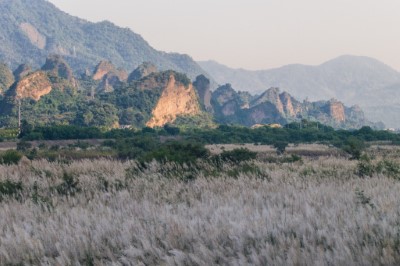 十八羅漢山與甜根子草