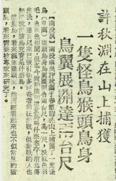 19660223臺灣民聲日報_草鴞