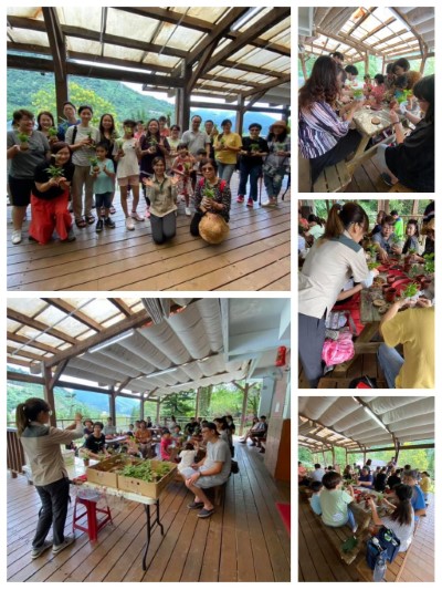 手作苔球活動-1