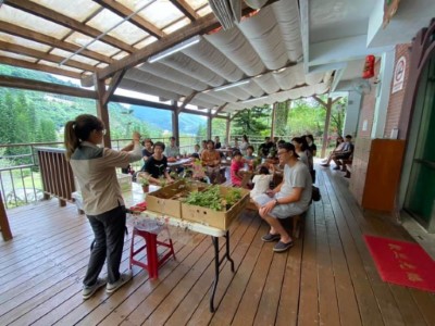 手作苔球活動-2