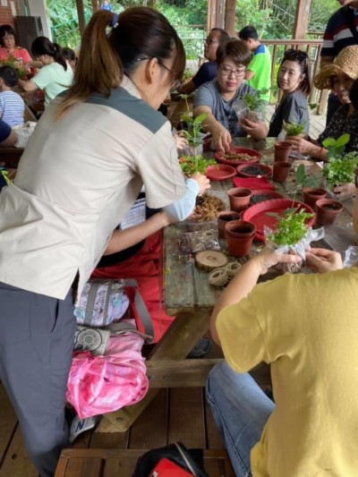 手作苔球活動-3