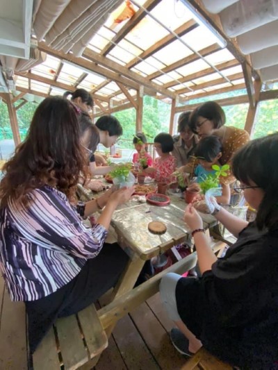 手作苔球活動-6