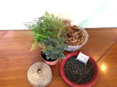 植物苔球手作-材料照