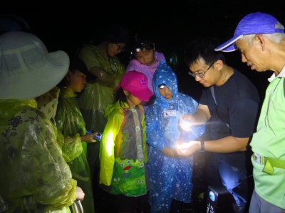 實地走入夜晚的森林進行夜間生態觀察