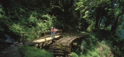 太平山見晴懷古步道