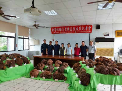 檢警林聯合查緝盜伐成果記者會(新竹林區管理處提供)