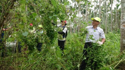 林務局廖副局長一同拔除小花蔓澤蘭