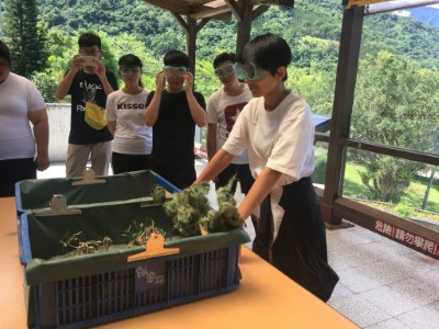 實習生體驗中心課程教具，認識海岸保安林議題