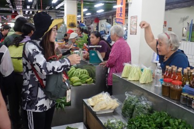 實習生體驗阿美族野菜市場