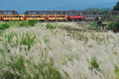 林鐵經過牛稠溪橋