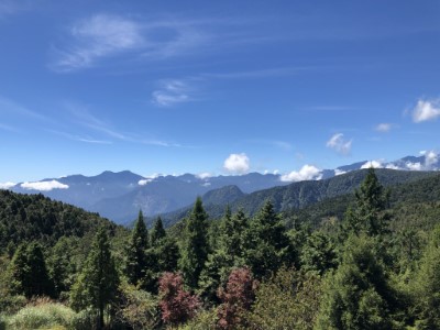 太平山國家森林遊樂區一景