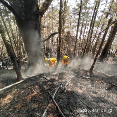 林務局森林護管員清理地面殘火