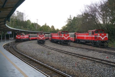 祝山車站經典四車畫面
