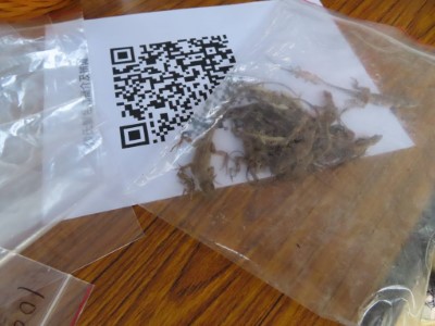 現場移除成果