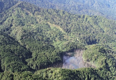 109年水漾森林週邊環境空拍，原崩塌裸露面已復育