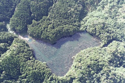 崩塌堆積區因地勢較高，水流由地形鞍部處溢流