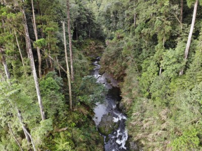 新河道兩岸為堅硬岩壁，20年來未有侵蝕情形