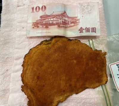 查獲的上品牛樟菇