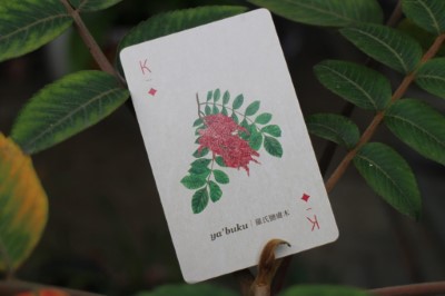 羅氏鹽膚木牌卡