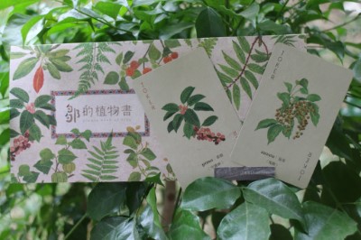 鄒的植物撲克牌鬼牌牌卡