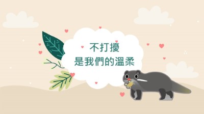 不打擾野生動物