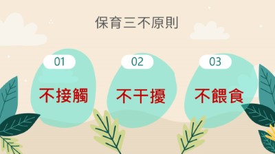 保育三不原則