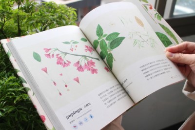 植物書內頁介紹