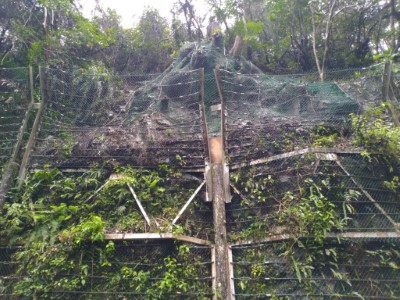 烏來台軌道1.2K~1.5K上邊坡土石堆積照片1