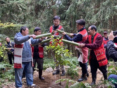 種植南庄橙