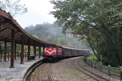 祝山線列車停靠對高岳站