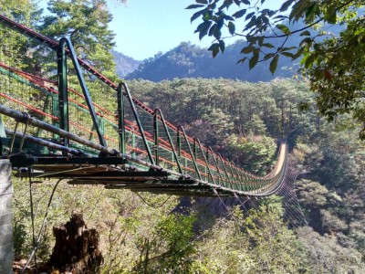 奧萬大吊橋