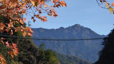 奧萬大吊橋.能高南峰.楓香