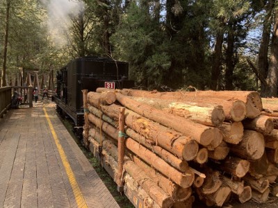 Logging operations by SL31