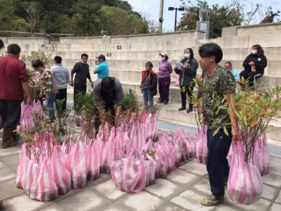 義盛社區贈苗活動領苗(新竹林區管理處提供)