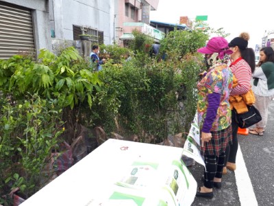 往年在海岸線辦理的植樹月贈苗活動，領取苗木的民眾非常踴躍