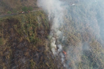 訊息專區 林業新聞 嘉義樂野山區傳林火林務消防空勤陸空合作滅火