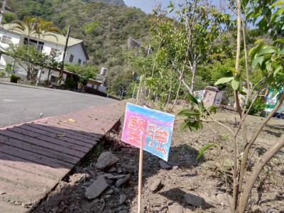 植樹名牌
