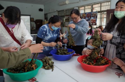 小花蔓澤蘭植物染