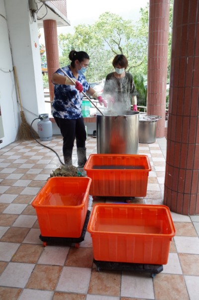 小花蔓澤蘭植物染實作課程