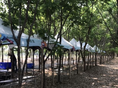 林後四林林間的里山巿集