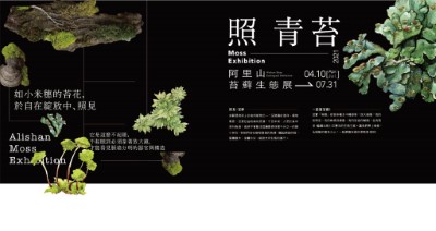 「照青苔」阿里山苔蘚生態展簡介