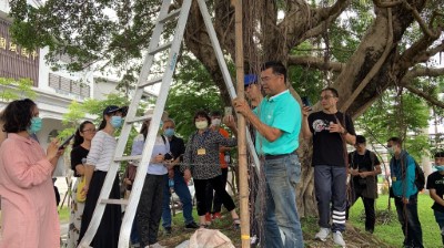 七星環境綠化基金會游象君老師為增加榕樹支持根進行導根工作介紹