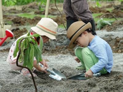 小朋友參與植樹活動