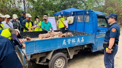 模擬開放漂流木撿拾期間，設置臨時檢查站及會同森警攔查