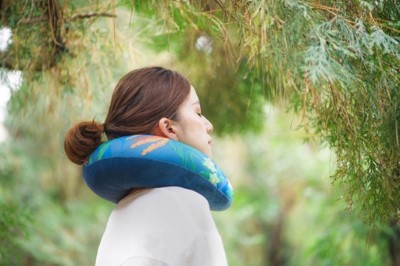 阿里山命名植物頸枕(550元)，讓阿里山的動植物陪伴民眾減緩旅途的疲憊