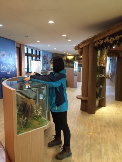 區內各展館均定期進行消毒作業