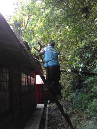 園區暫停開放期間持續辦理修枝等環境整理