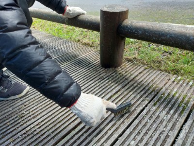 木棧道縫隙內的青苔由工作人員一一刷除